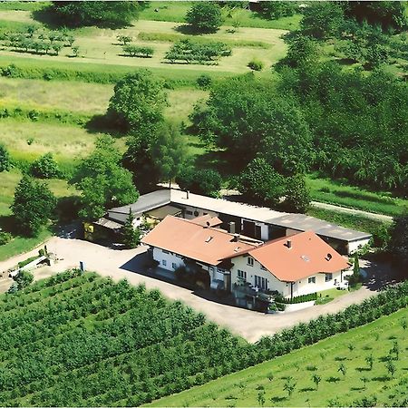 헤르볼츠하임 Weingut Ringwald 아파트 외부 사진