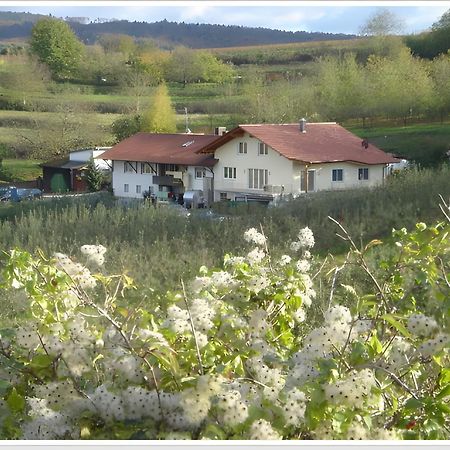 헤르볼츠하임 Weingut Ringwald 아파트 외부 사진
