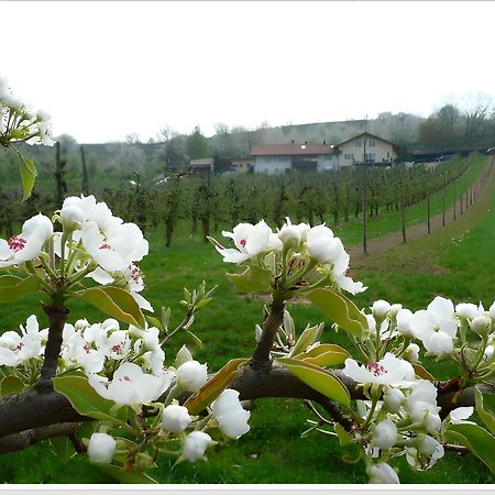 헤르볼츠하임 Weingut Ringwald 아파트 외부 사진