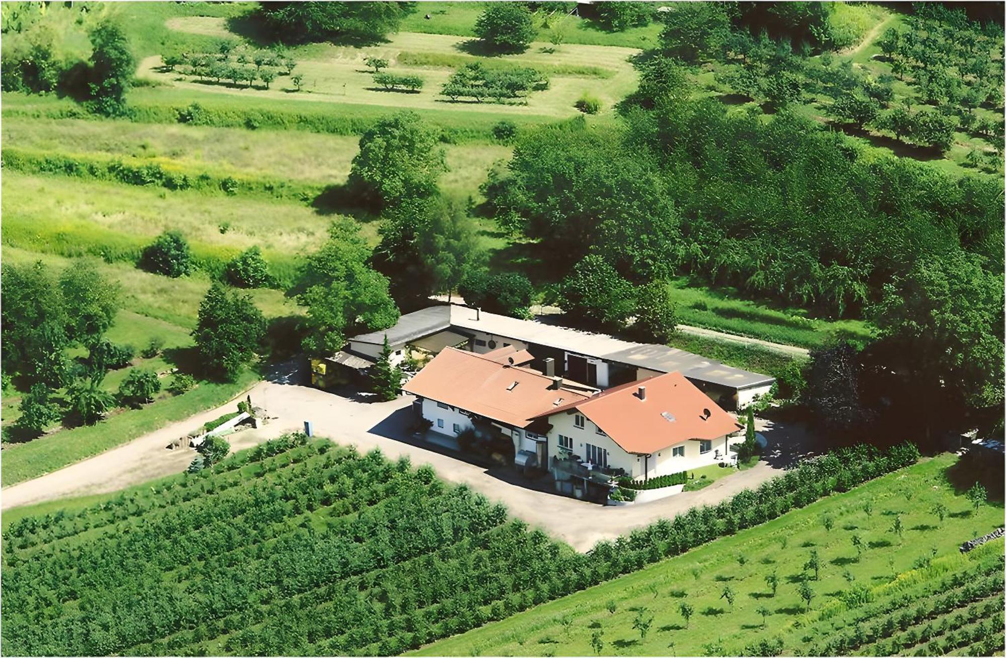 헤르볼츠하임 Weingut Ringwald 아파트 외부 사진