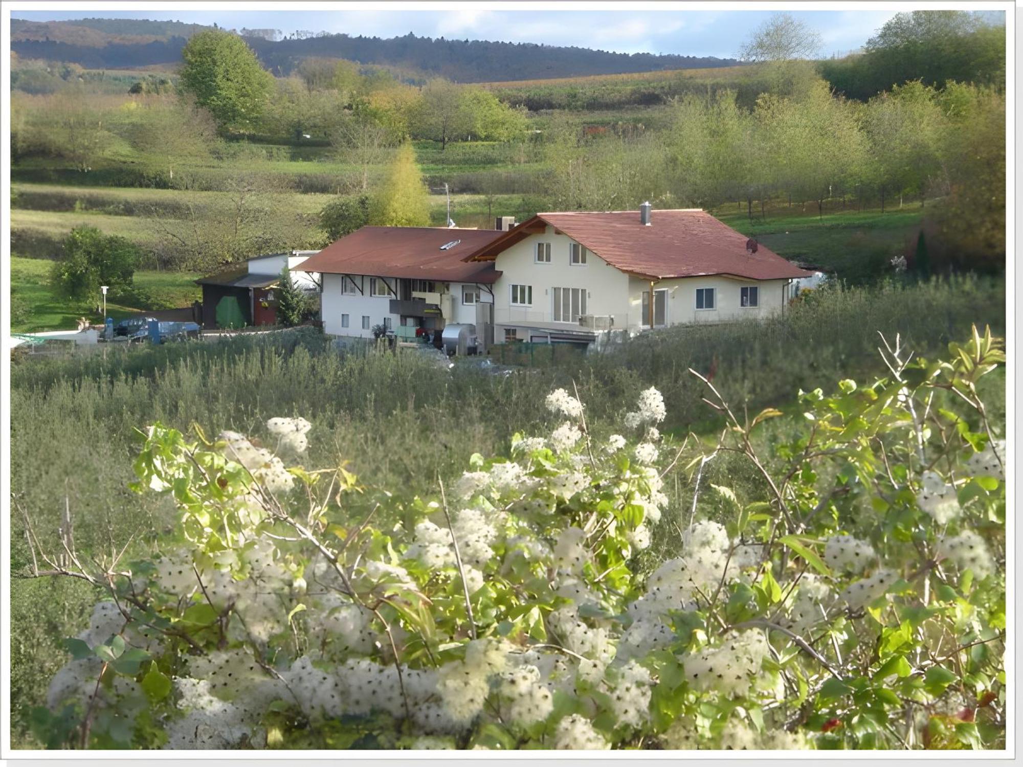 헤르볼츠하임 Weingut Ringwald 아파트 외부 사진